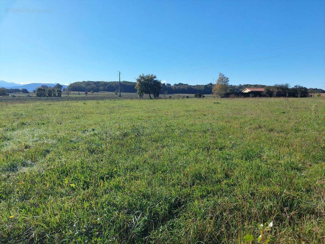 20241024114116 - Terrain à SALIES-DU-SALAT