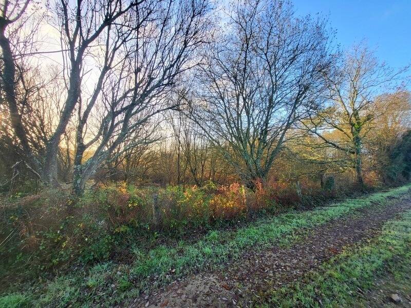 Terrain à TELGRUC-SUR-MER