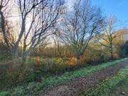 Terrain à TELGRUC-SUR-MER