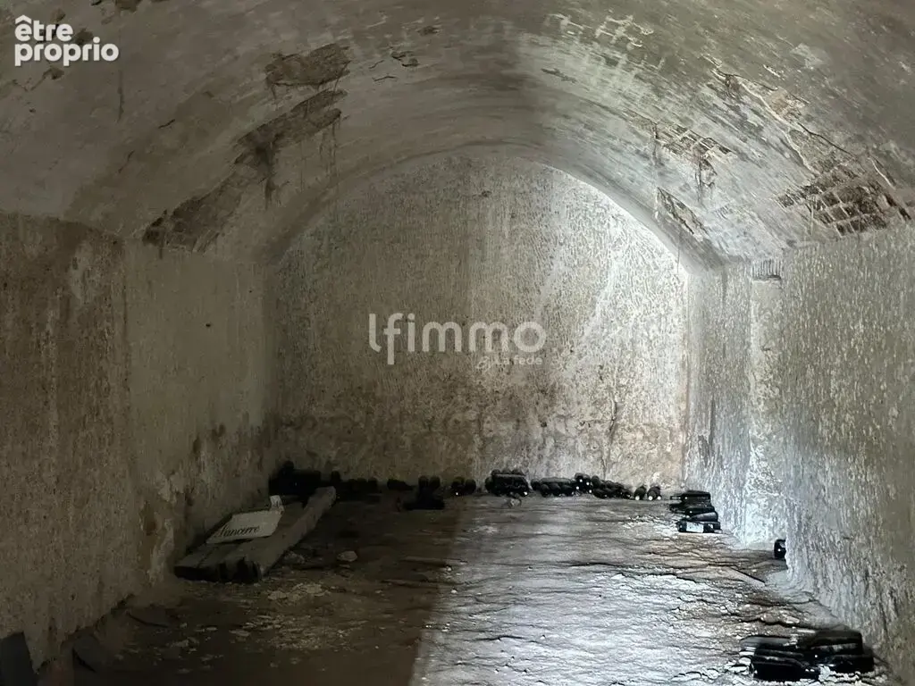 Cave Troglodyte -Refuge Anti-Caniculaire - photo 8