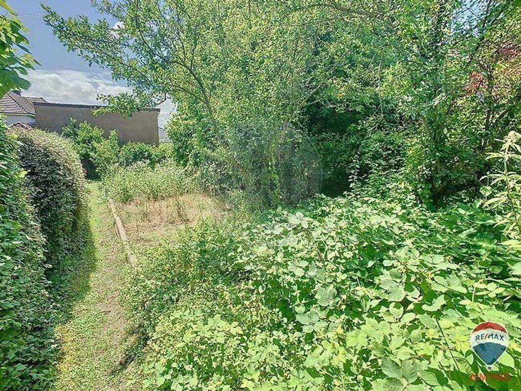 Appartement à MULHOUSE