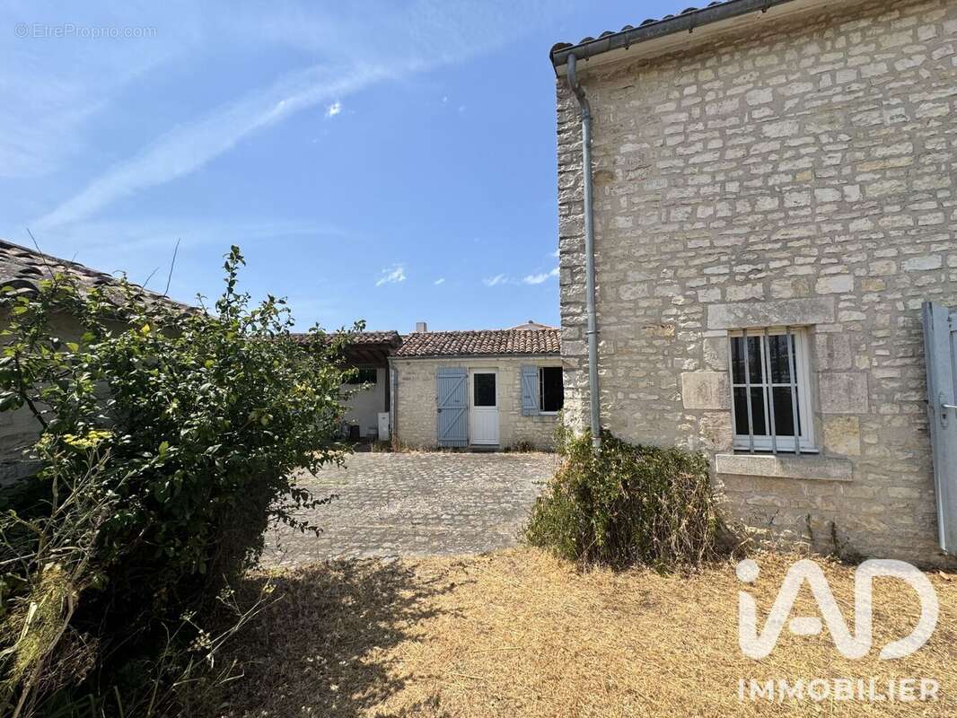 Photo 4 - Maison à SAINTE-MARIE-DE-RE