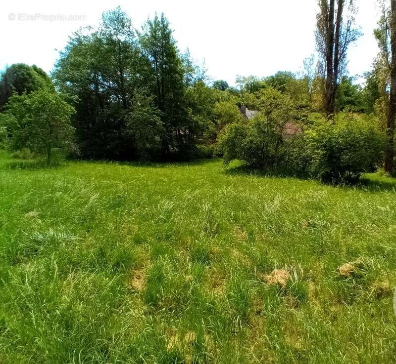 Maison à vendre 7 pièces LORMES (58) - photo 2