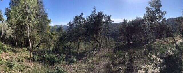 Terrain à LE TIGNET