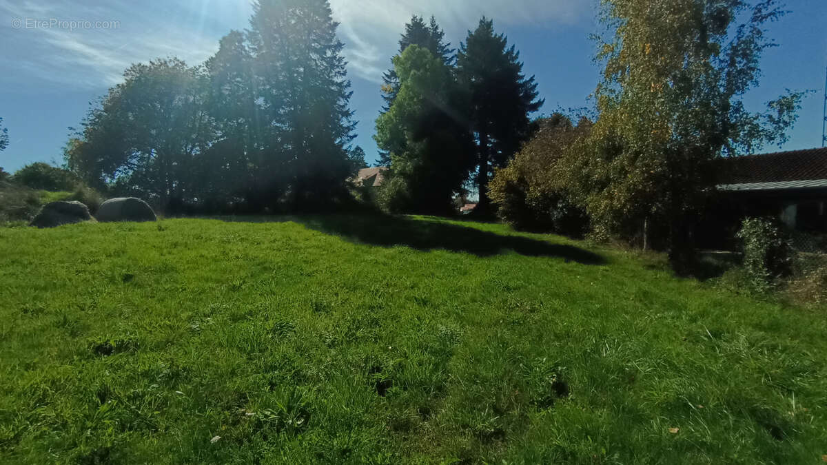 Maison à LA COQUILLE