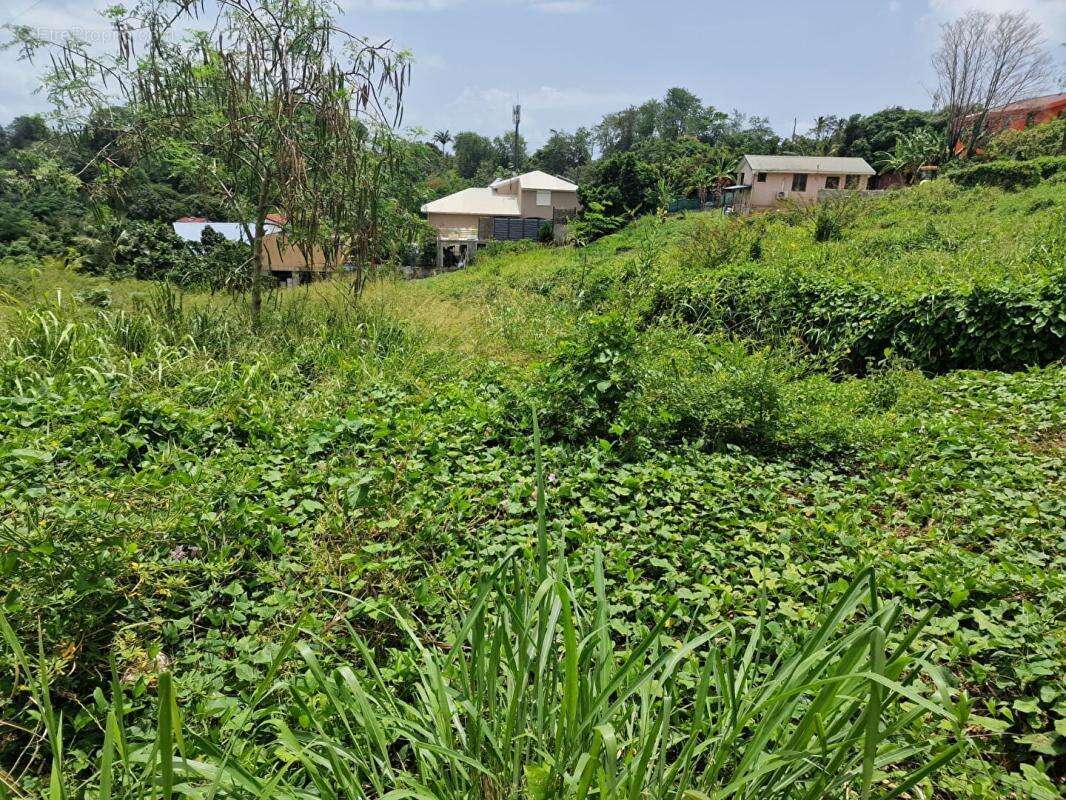 Terrain constructible - photo 3