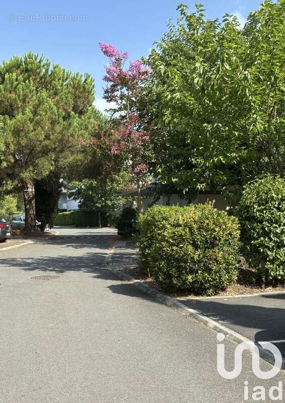 Photo 7 - Appartement à SAINT-ANDRE-DE-CUBZAC