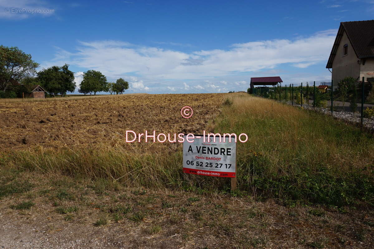 Terrain à VILLEMEREUIL