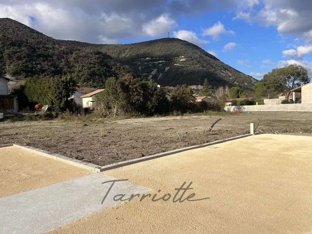 Terrain - 10146 - photo 4