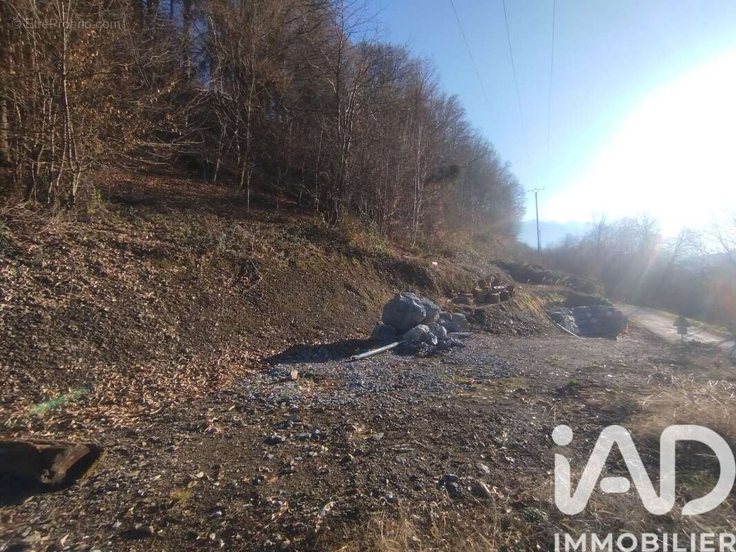 Photo 3 - Terrain à CESARCHES