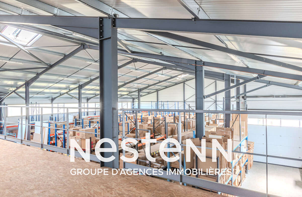 Commerce à PAMPELONNE