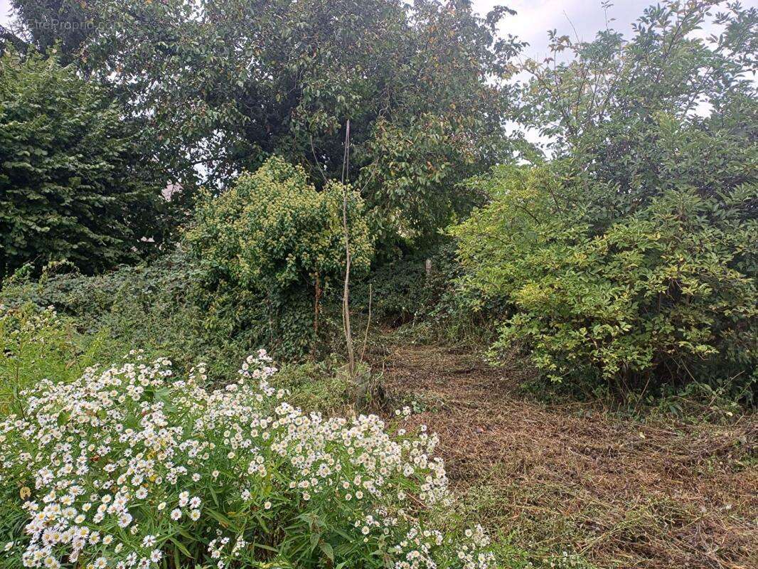 Appartement à NOYON