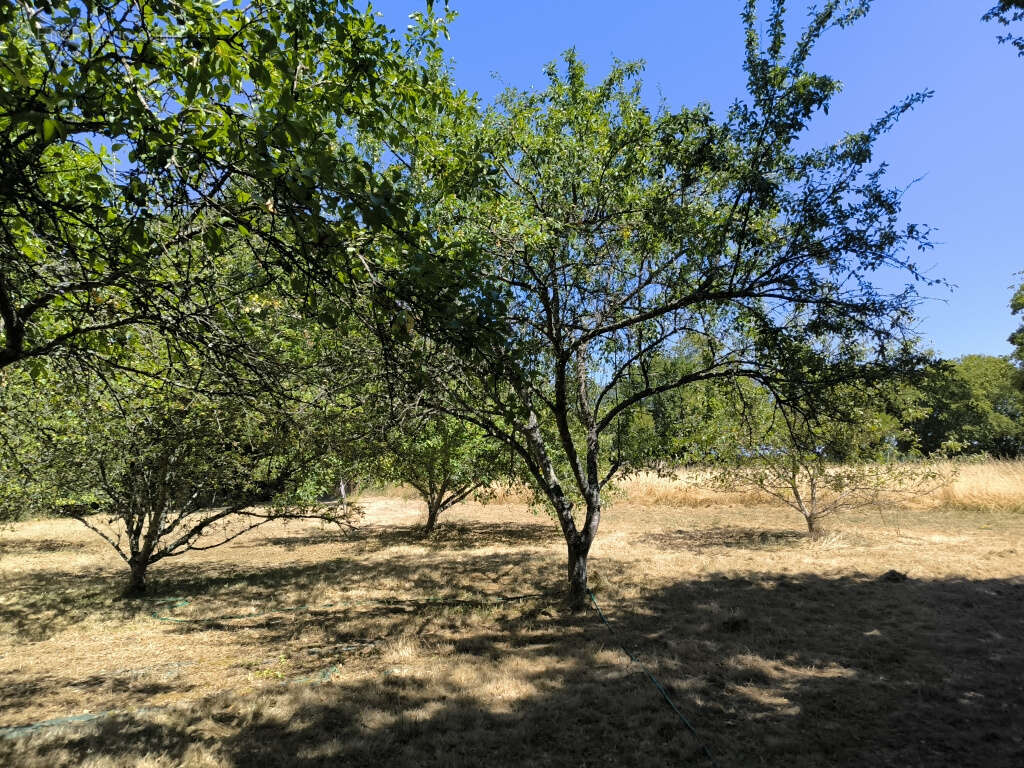 Propriété indépendante région du bazois - photo 18