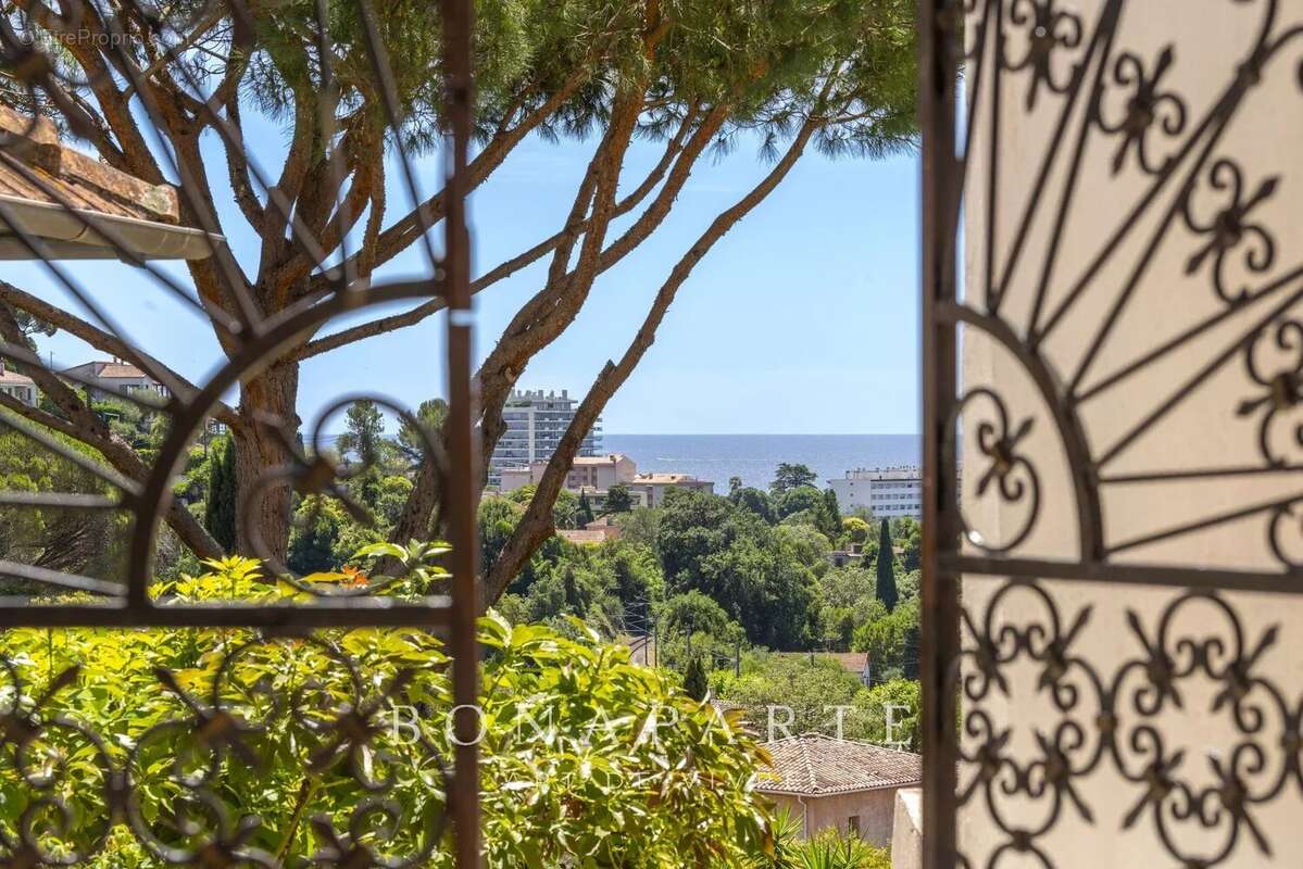 Nouveauté cannes - superbe villa belle époque à la vue mer panoramique - photo 4