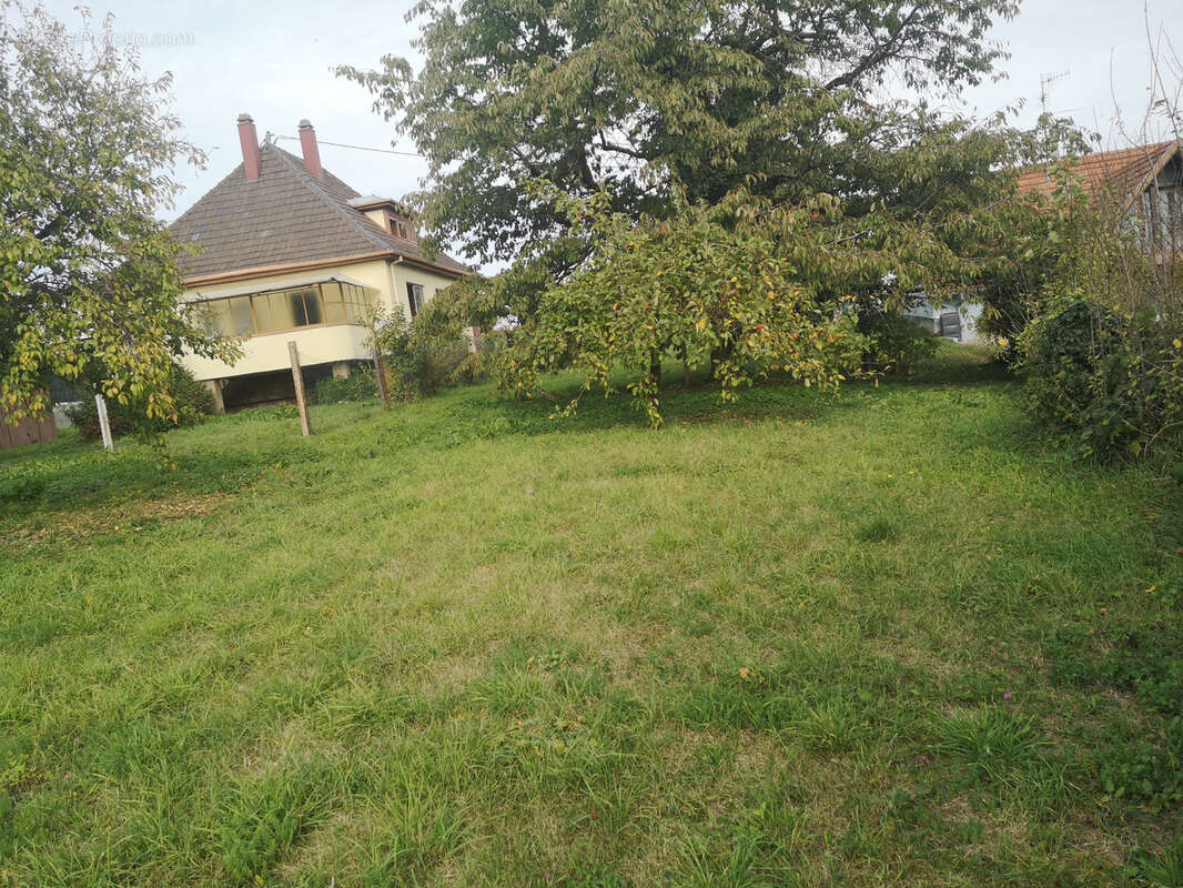 Terrain à SURBOURG