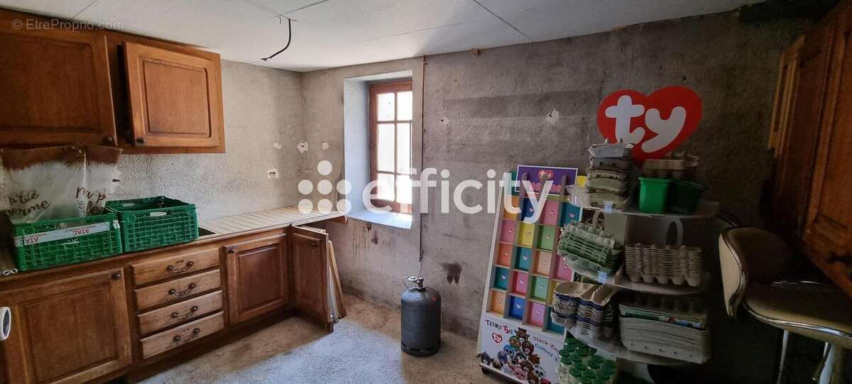 Maison à LE MALZIEU-VILLE