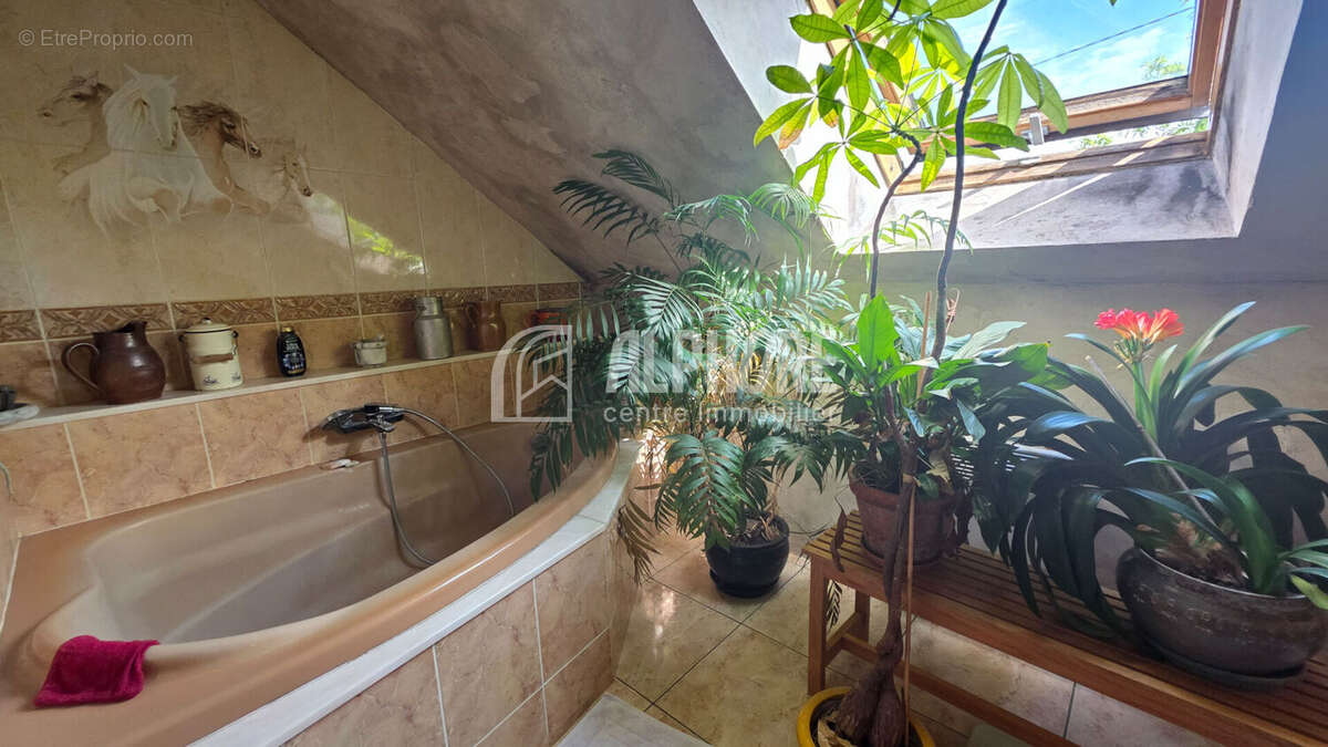 Entre jardin vivant et maison de famille évolutive - photo 8