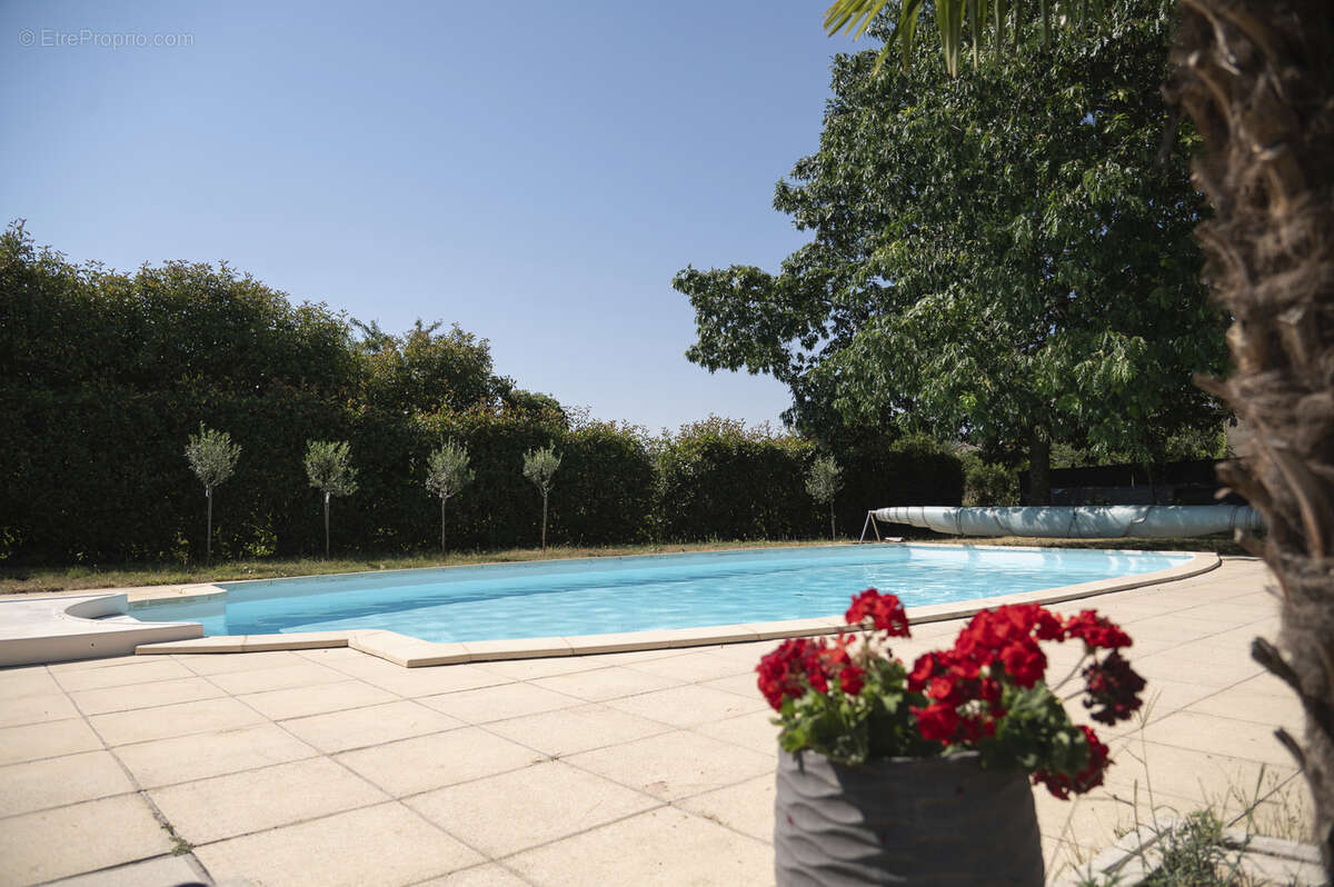 Maclas - Villa d'architecte haut de gamme avec piscine et dépendances - photo 15