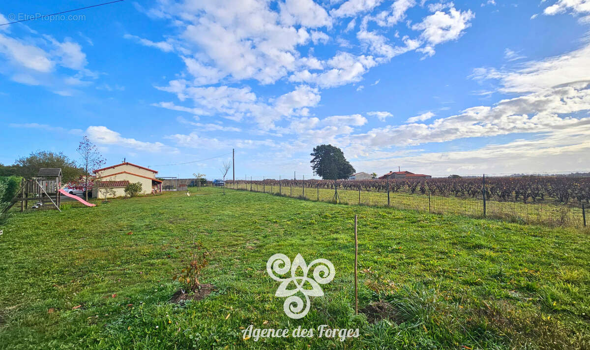 Maison Vallet 113 m2 / 3 chambres / 1642m² de terrain - photo 14