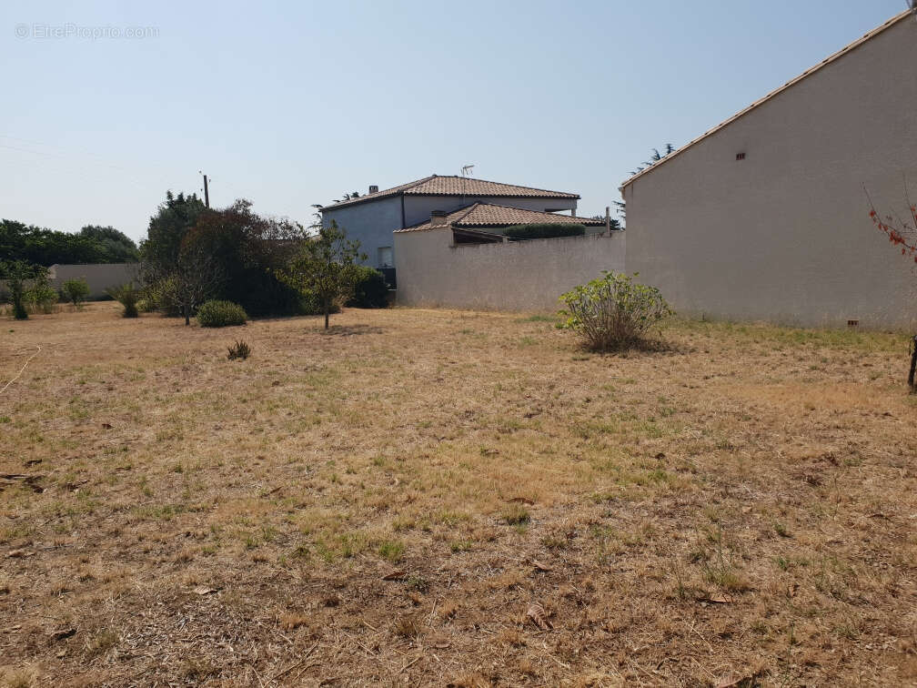 Terrain 855 m² à Saint-Nazaire-D'aude  - photo 5