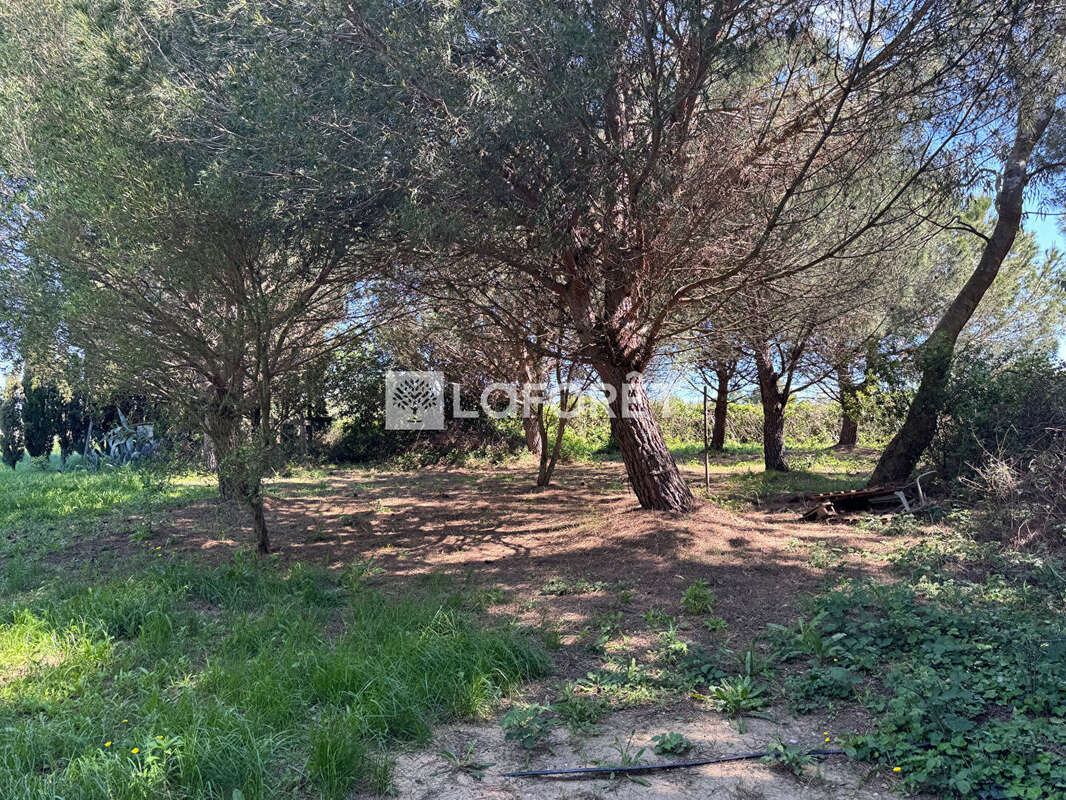 Terrain à SAINT-CYPRIEN