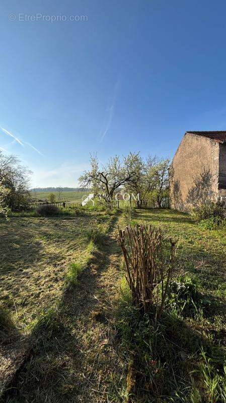 Maison à VIEVILLE-EN-HAYE