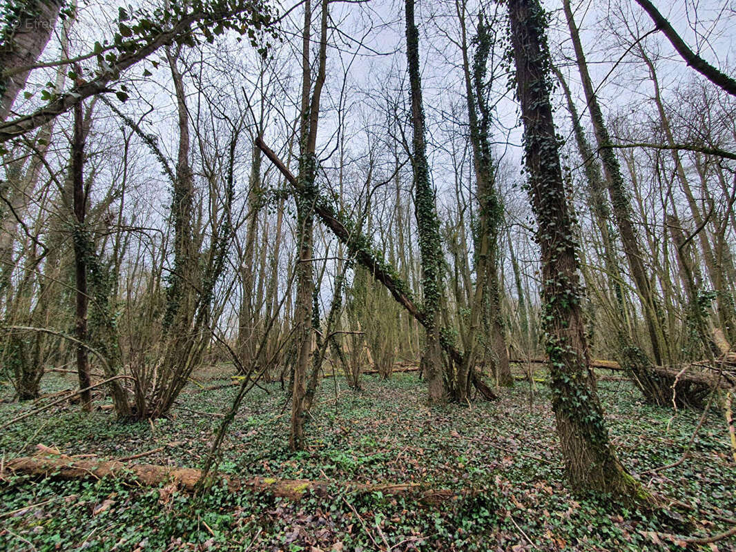 Terrain à SAINT-QUENTIN