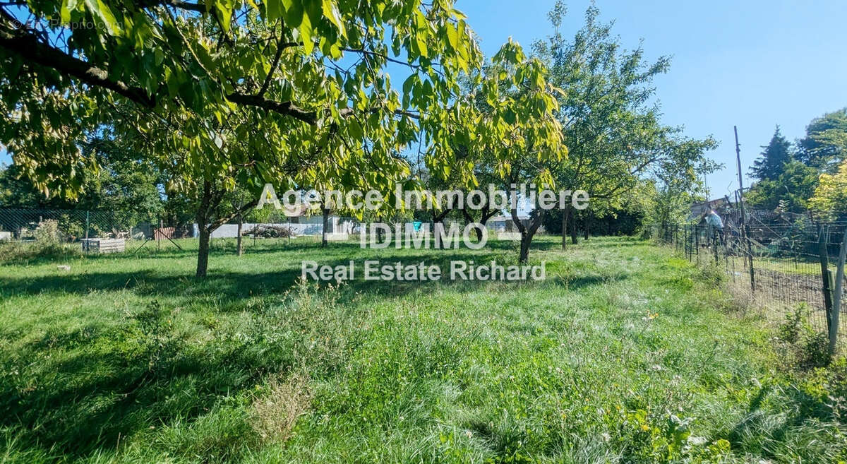 Maison à BEAUMONT-DU-GATINAIS