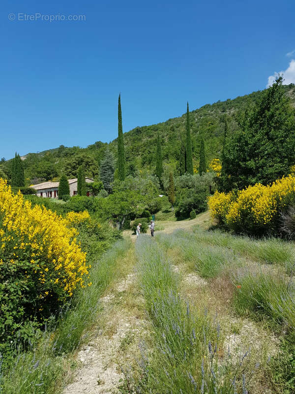 Maison à VAISON-LA-ROMAINE