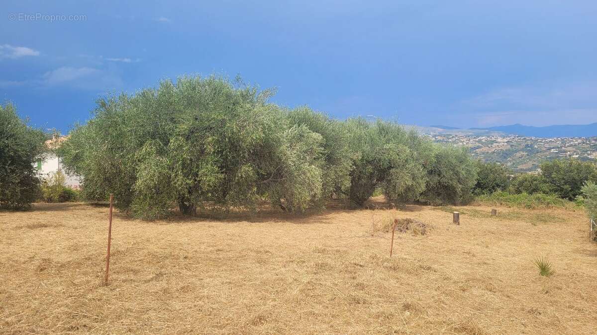 Photo 3 - Terrain à SAINT-LAURENT-DU-VAR