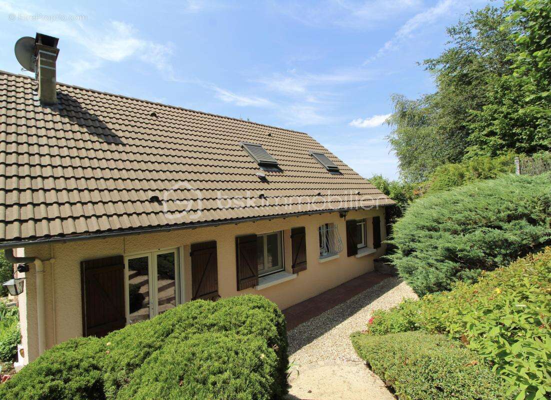 Maison à VILLENEUVE-SUR-YONNE