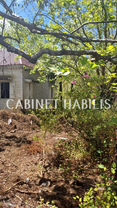 Terrain à LA PLAINE-DES-PALMISTES