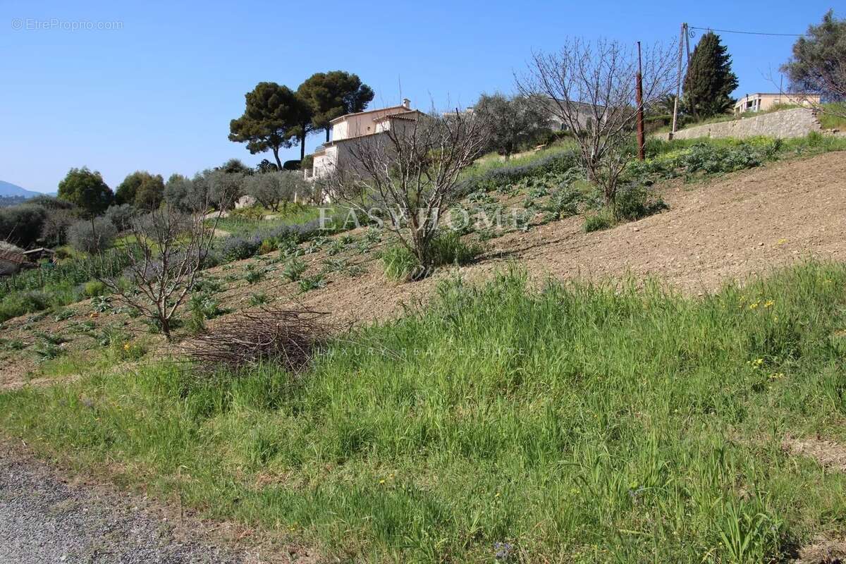 Terrain à CANNES
