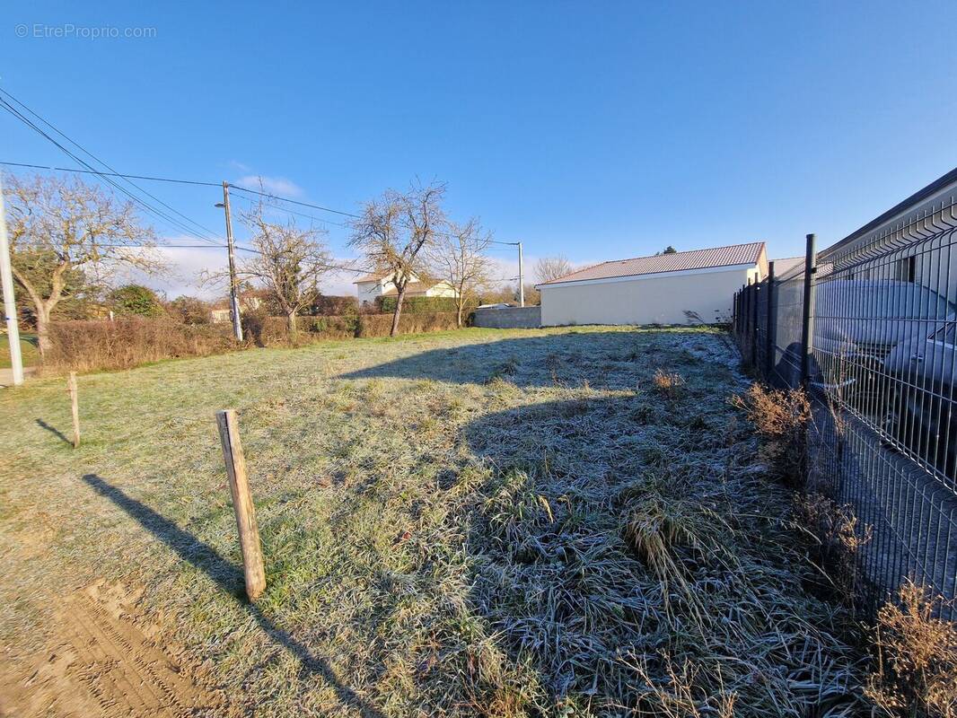 Photo 1 - Terrain à POMMIER-DE-BEAUREPAIRE