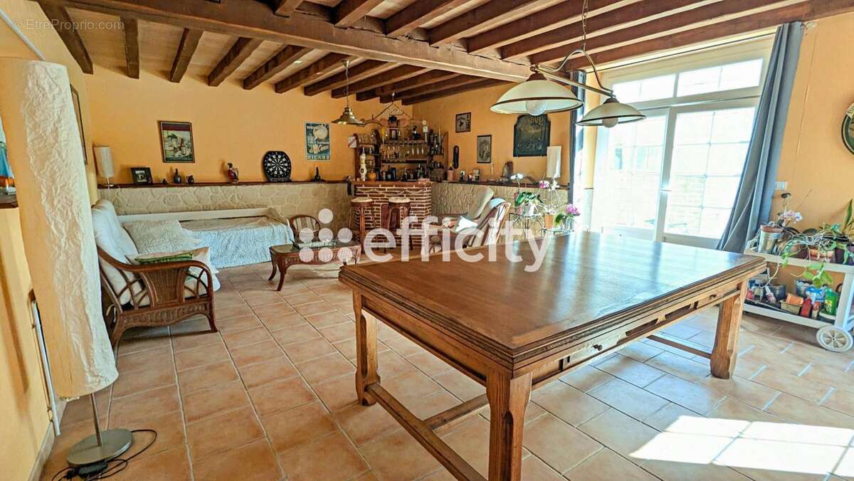 Maison 355 m² à Asnieres-Sur-Nouere  - photo 14