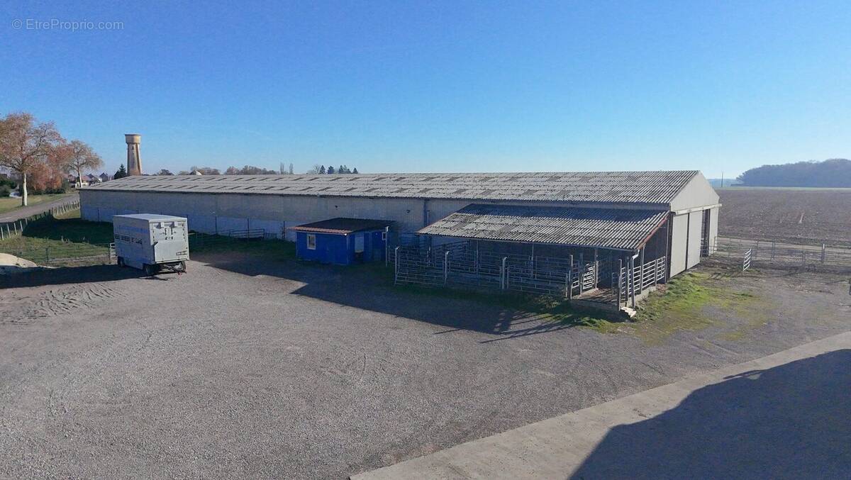 Commerce à SAINT-JEAN-DE-LOSNE