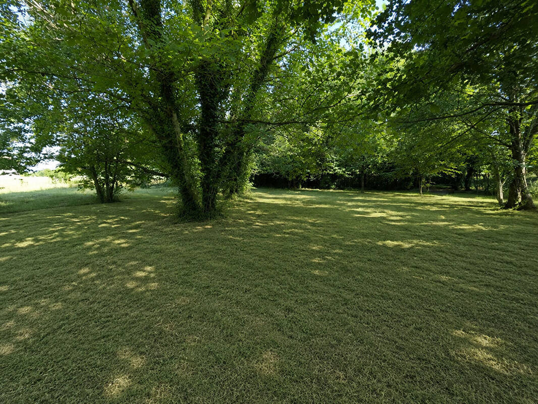 Terrain à FONGRAVE