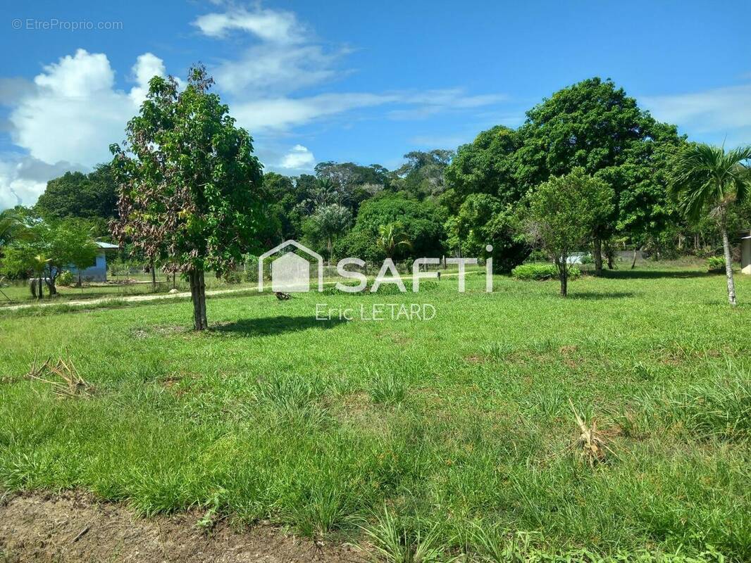 Photo 1 - Terrain à MACOURIA