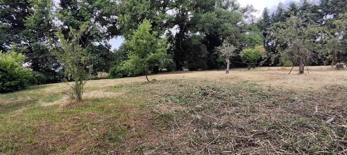 Photo 1 - Terrain à MONTROND-LES-BAINS