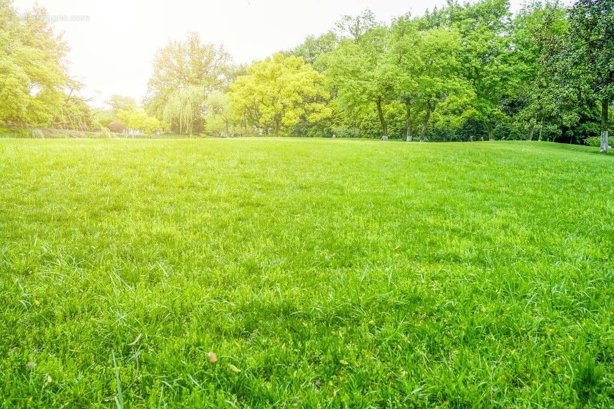 Terrain à SAINT-FERREOL