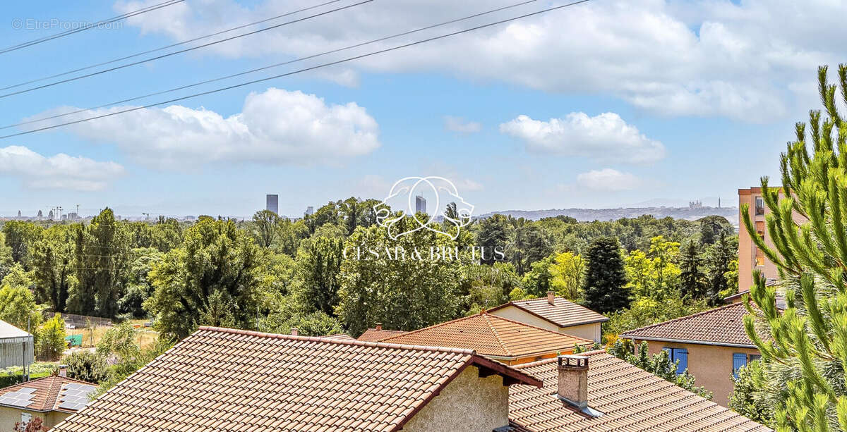 Maison 220 m² à Rillieux-La-Pape  - photo 6
