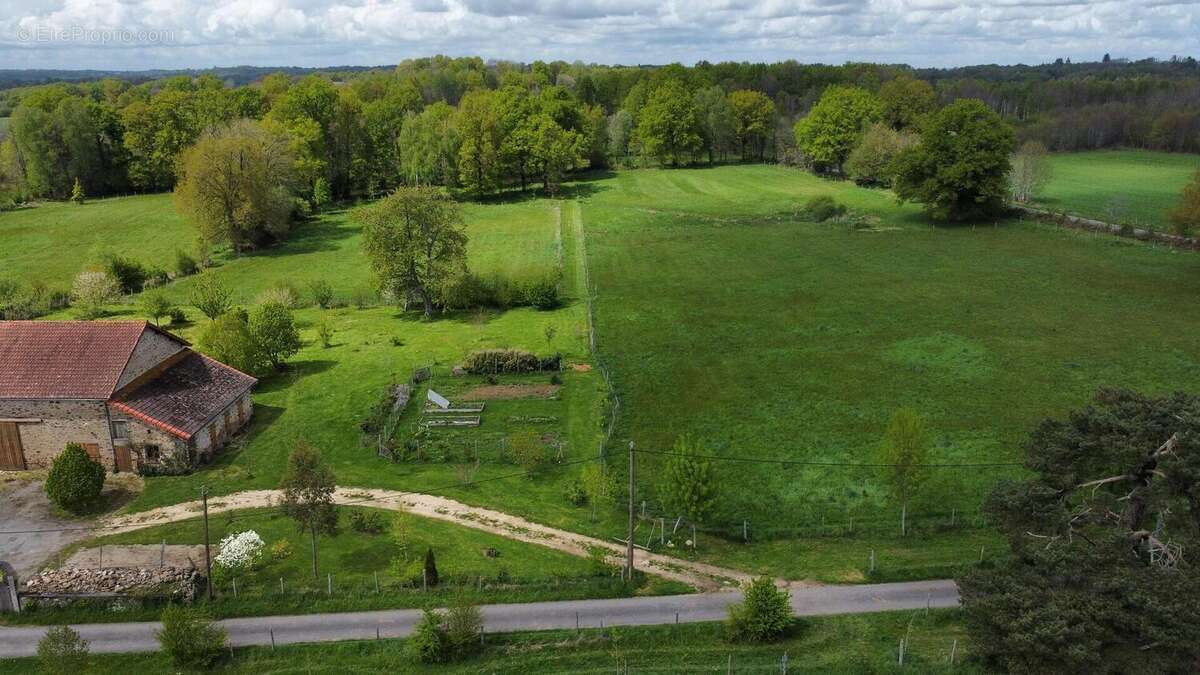 Prairie avec chênes - Maison à LIMOGES
