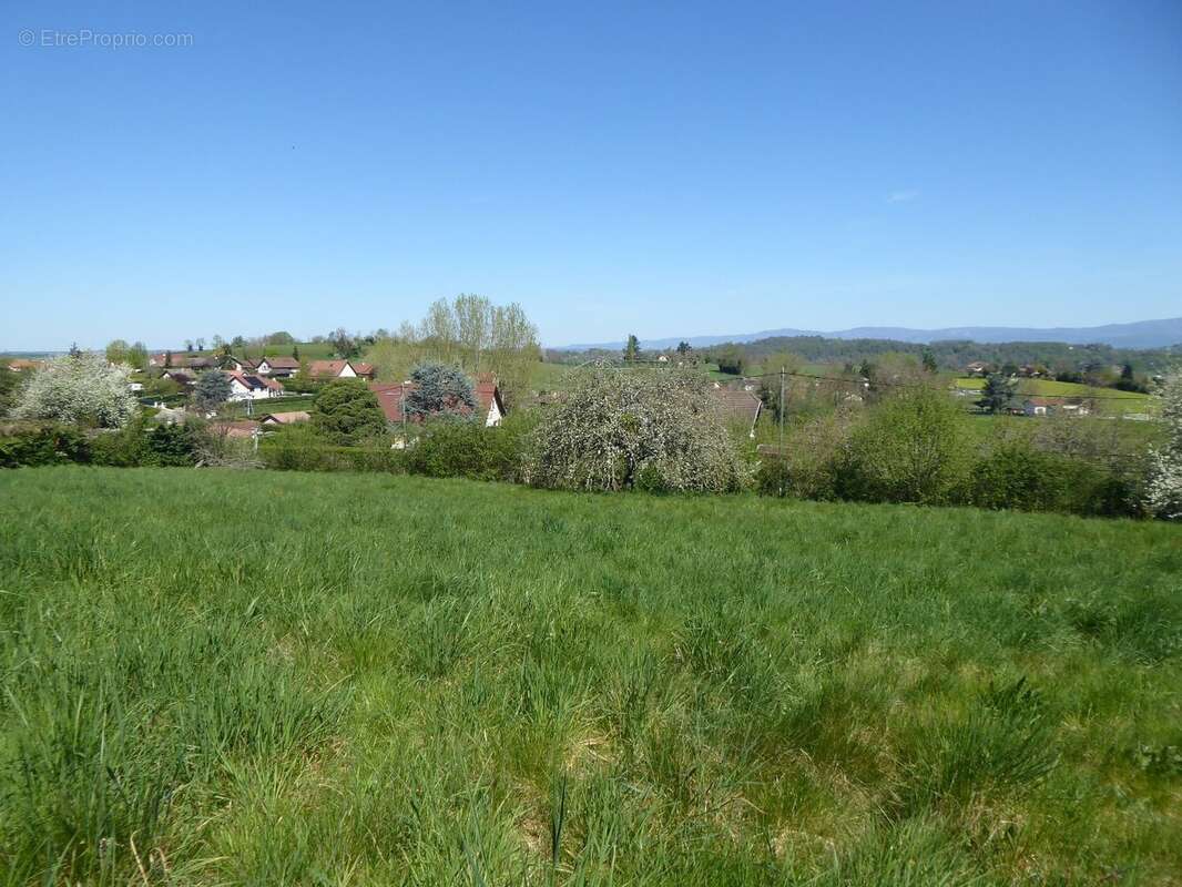Terrain à SAINT-CHEF