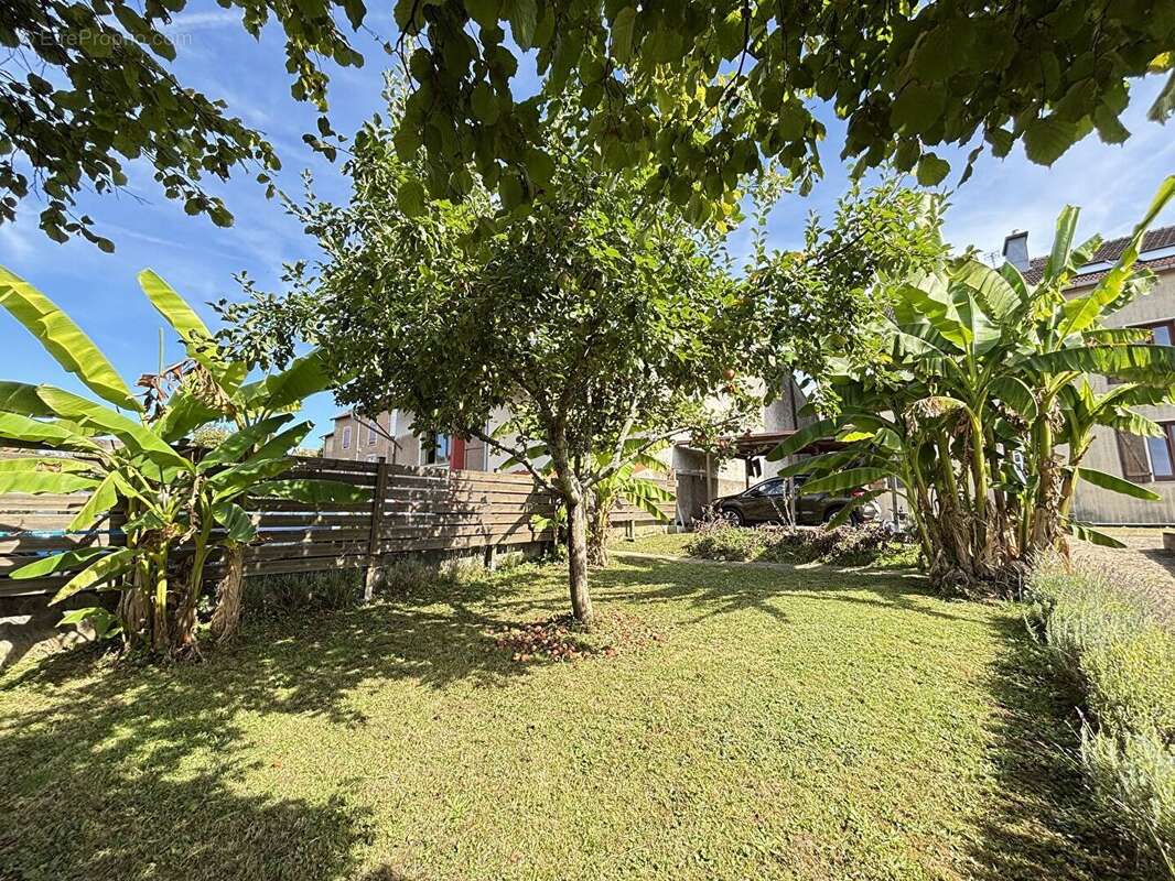 Appartement à LUXEUIL-LES-BAINS