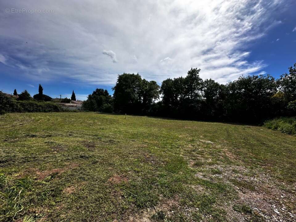 Terrain 1055 m² à Puget-Sur-Argens  - photo 2