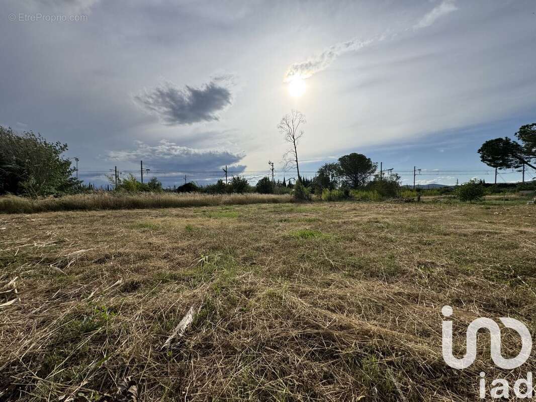 Photo 5 - Terrain à RIVESALTES