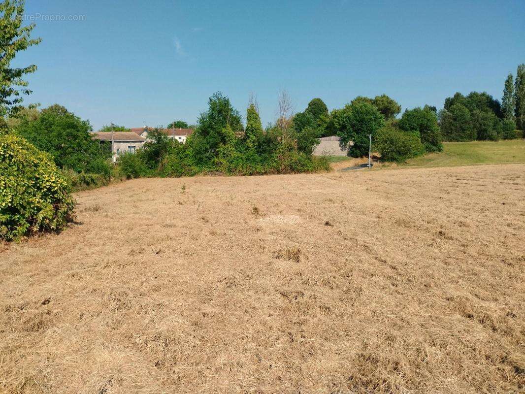 Terrain 1 750 m² à vendre à Merignac (17210) - photo 3