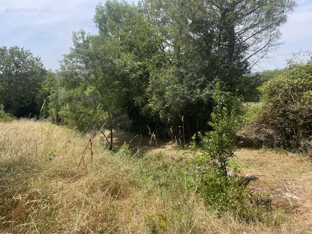 Terrain à bâtir sur les coteaux. - photo 2