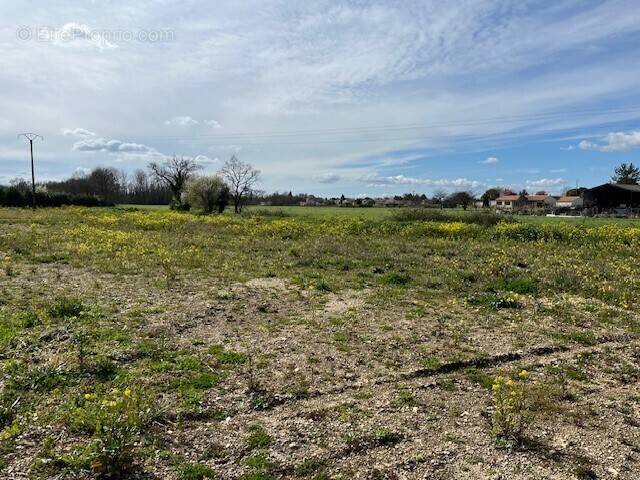 Terrain à LES METAIRIES