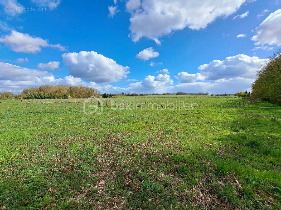 Propriété de Caractère sur 4,3 Hectares – Potentiel Équestre - photo 23
